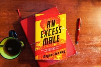 Image of AN EXCESS MALE